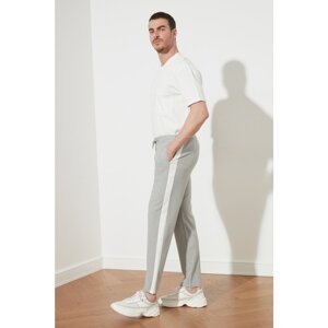 Trendyol Gray Men's Textured Trousers