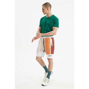 Trendyol Multi Color Men Regular Fit Licensed Pantone Shorts & Bermuda