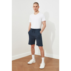 Trendyol Navy Blue Men's Regular Fit Textured Shorts & Bermuda
