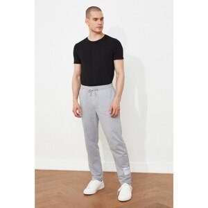 Trendyol Gray Men's Regular Fit Tag Detailed Sweatpants