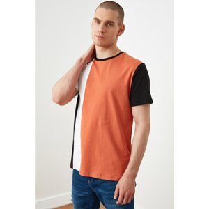 Trendyol Cinnamon Men's Regular Fit Short Sleeve Color Block T-Shirt