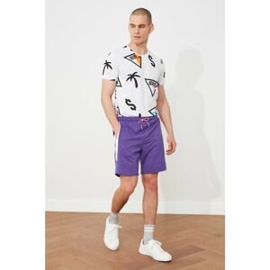Trendyol Men's Purple Regular Fit Shorts & Bermuda