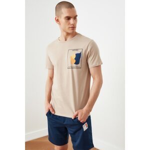 Trendyol Stone Men's Slim Fit Crew Neck Short Sleeve Printed T-Shirt