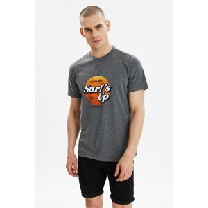 Trendyol Anthracite Men's Regular Fit Short Sleeve Printed T-Shirt