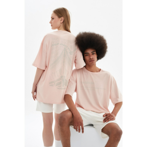 Trendyol Powder Unisex Oversize T-Shirt