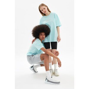 Trendyol Blue Unisex Relaxed Fit T-Shirt