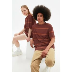 Trendyol Brown Unisex Oversize Striped T-Shirt