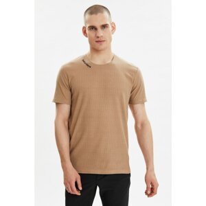 Trendyol Taş Men Regular Fit Short Sleeve Collar Embroidery Detailed T-Shirt