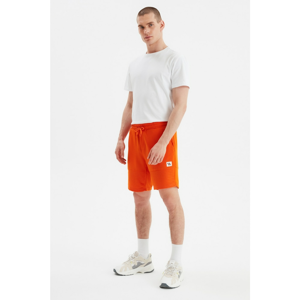 Trendyol Orange Men's Regular Fit Shorts & Bermuda