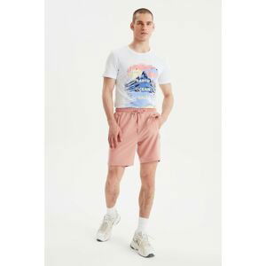 Trendyol Dried Rose Men's Regular Fit Shorts & Bermuda