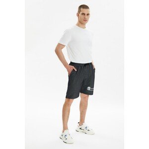 Trendyol Navy Blue Men Regular Fit Shorts & Bermuda