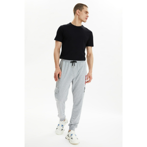Trendyol Gray Men's Regular Fit Trousers