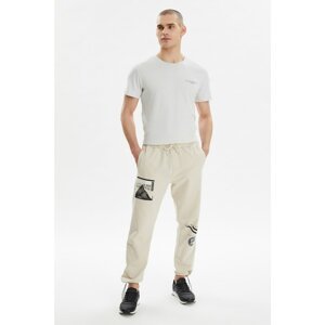 Trendyol Beige Men's Regular Fit Printed Sweatpants