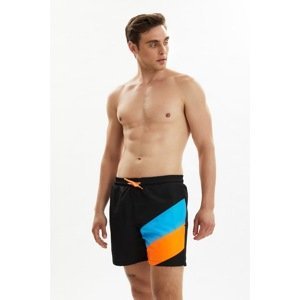 Trendyol Black Men's Color-Blocked Paneled Swim Shorts
