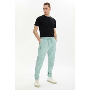 Trendyol Mint Men's Regular Fit Trousers