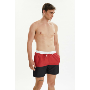 Trendyol Red Men's Color-Blocked Swim Shorts