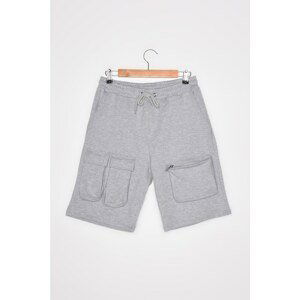 Trendyol Gray Men's Regular Fit Flap Pocket Shorts & Bermuda