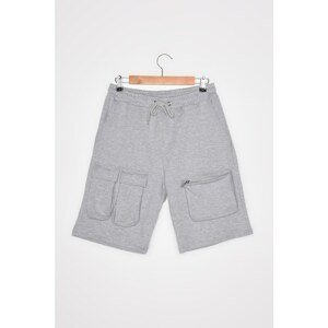 Trendyol Gray Men's Regular Fit Flap Pocket Shorts & Bermuda
