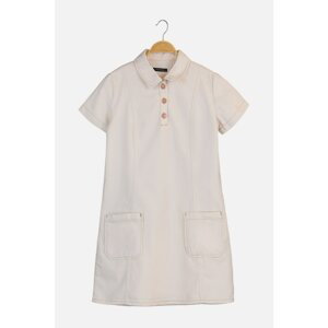 Trendyol Ecru Pocket Detailed Shirt Collar Mini Denim Dress