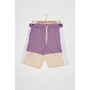 Trendyol Men's Purple Regular Shorts & Bermuda