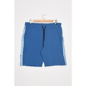 Trendyol Blue Men's Regular Fit Shorts & Bermuda