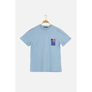 Trendyol Blue Men's Regular Fit Short Sleeve Printed T-Shirt
