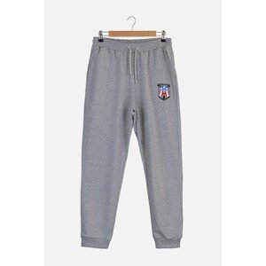 Trendyol Men's Gray Regular Fit Licensed Marvel Printed Sweatpants