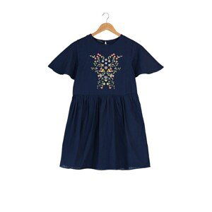 Trendyol Navy Blue Embroidered Dress