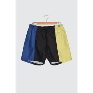 Trendyol Black Men's Color-Blocked Swim Shorts