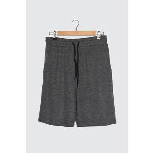 Trendyol Anthracite Men's Regular Fit Textured Shorts & Bermuda