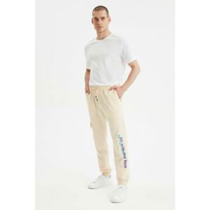 Trendyol Taş Men's Sweatpants