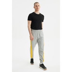 Trendyol Gray Men's Sweatpants