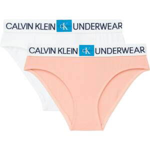 Calvin Klein 2 Pack Briefs