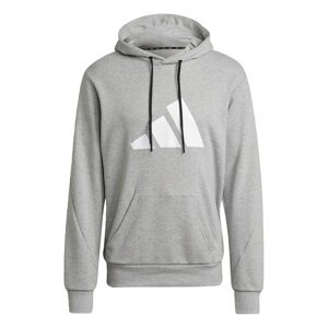 adidas Sportswear Future Icons Logo Graphic Hoodie