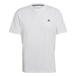 adidas Sportswear Comfy and Chill T-Shirt Mens