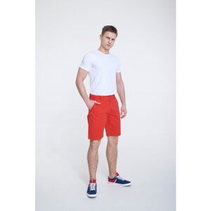 Big Star Man's Bermuda shorts Shorts 111296-603