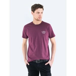 Big Star Man's T-shirt_ss T-shirt 152018 Burgundy Knitted-604