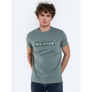 Big Star Man's T-shirt_ss T-shirt 151621 Light green Knitted-304