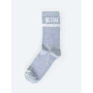 Big Star Man's Socks Socks 273554  Knitted-903