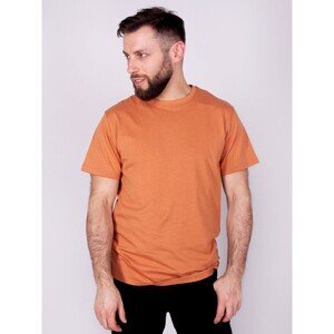 Yoclub Cotton T-Shirt Short Sleeve PM-012/TSH/MAN