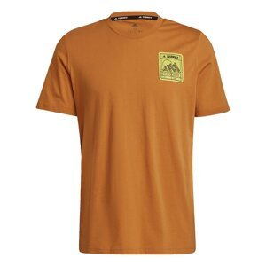 Adidas Terrex Patch Mountain Graphic T-Shirt Mens