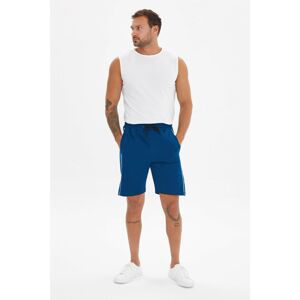 Trendyol Indigo Men's Regular Fit Shorts & Bermuda