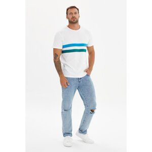 Trendyol White Men's Regular Fit Colorful Striped Detailed Short Sleeve T-Shirt