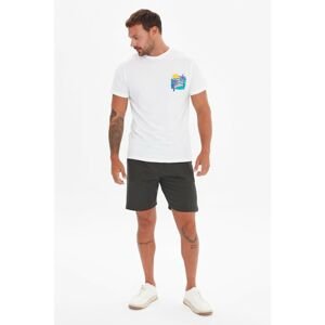 Trendyol White Men's Regular Fit Short Sleeve T-Shirt