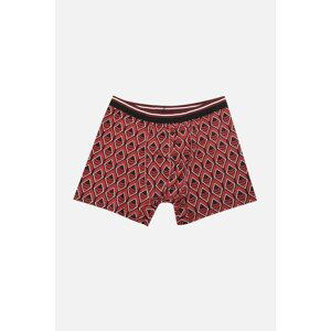 Trendyol Multi Color Men 3-Pack Boxer