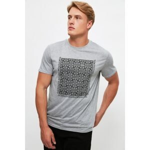 Trendyol Gray Men's Regular Fit Short Sleeved T-Shirt