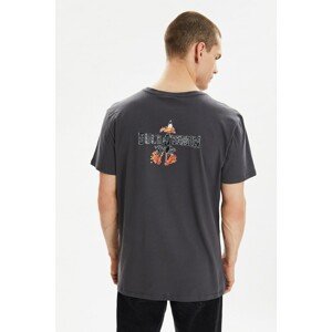 Trendyol Anthracite Men Regular Fit Crew Neck Printed Daffy Duck Licensed T-Shirt