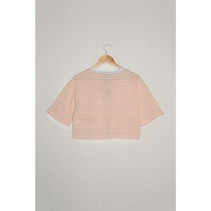 Trendyol Powder Crop Striped Knitted T-Shirt