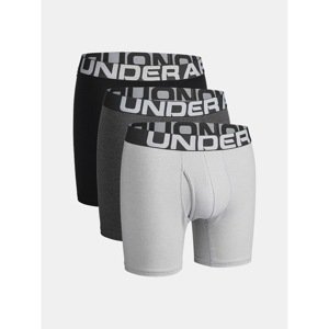Under Armour Boxer Shorts UA Charged Cotton 6in 3 Pack-GRY - Men's