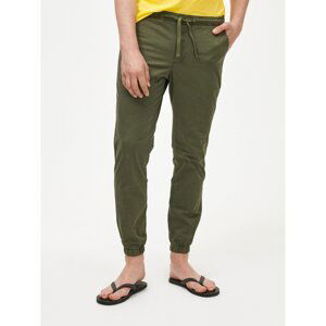 GAP Pants Slim